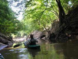 mia paddling crooked creek in search of warbler