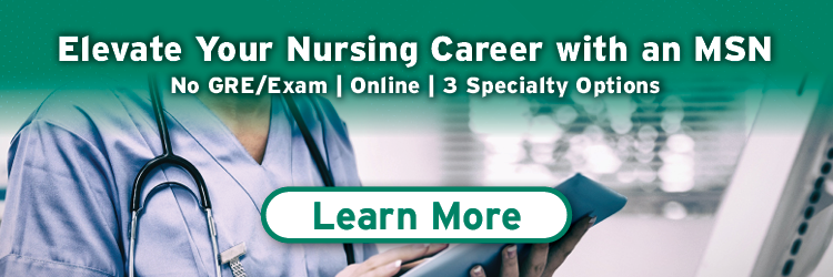 BSN-MSN Banner