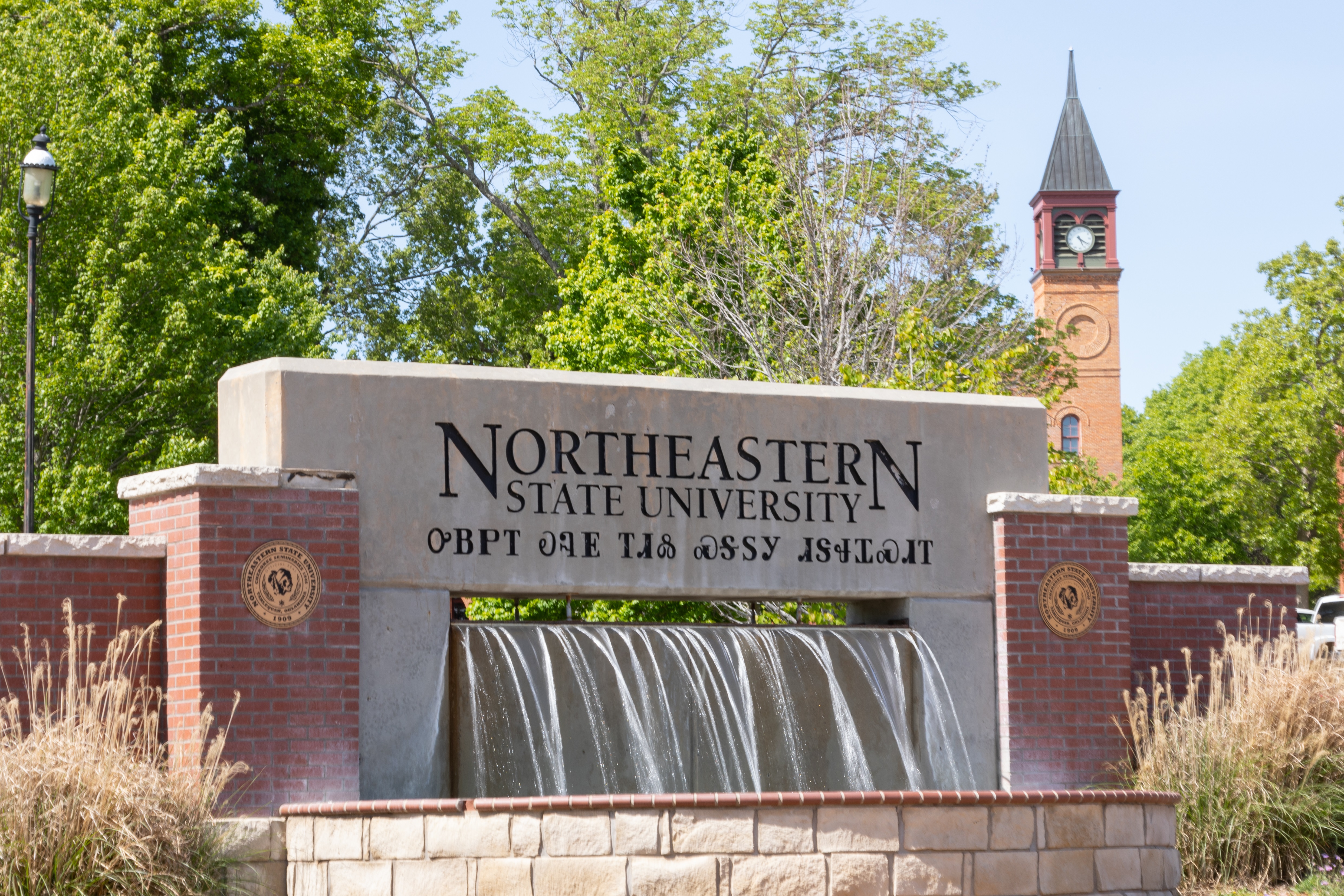 NSU Be the Change Fountain